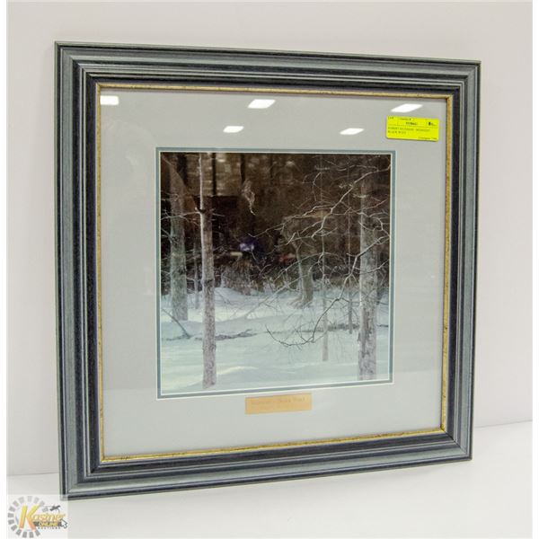 ROBERT BATEMAN - MIDNIGHT - BLACK WOLF