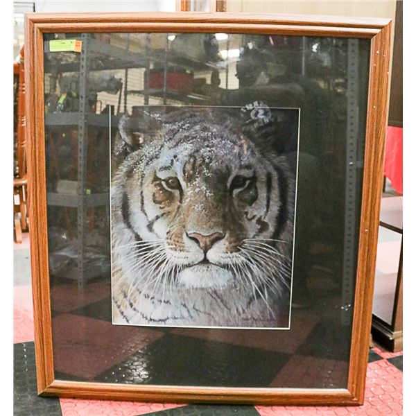 ROBERT BATEMAN 1998 TIGER PICTURE - FRAME MEASURES