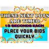 Image 1 : THESE NEXT REMAINING LOTS WILL BE TIMED ONLY. PLACE YOUR BID PROMPTLY.