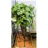 Image 1 : SILK PLANTS IN BASKETS W STANDS