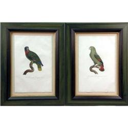 A PAIR OF FRAMED PRINTS