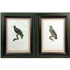 Image 1 : A PAIR OF FRAMED PRINTS