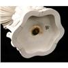 Image 7 : A BELLEEK SHELL-FORM PORCELAIN COMPOTE