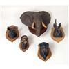 Image 1 : A MISCELLANEOUS GROUP OF COMPOSITION HANDPAINTED ANIMAL HEADS