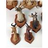 Image 4 : A MISCELLANEOUS GROUP OF COMPOSITION HANDPAINTED MINIATURE ANIMAL HEADS