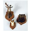 Image 6 : A MISCELLANEOUS GROUP OF COMPOSITION HANDPAINTED MINIATURE ANIMAL HEADS