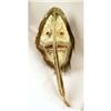 Image 1 : A MIXED MEDIA CEREMONIAL MASK