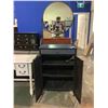 Image 2 : MIRROR BACK METAL CABINET