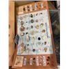 Image 2 : COLLECTION OF ASSORTED ROCKS & SEASHELLS
