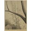 Image 1 : ETCHING ROBERT KIPNISS ARTISTS PROOF HOUSE/TREE