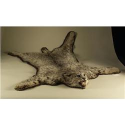 TAXIDERMY LYNX PELT