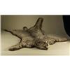 Image 1 : TAXIDERMY LYNX PELT