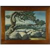Image 2 : OIL PAINTING WEATHERED CYPRUS TREE