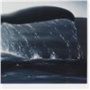Image 2 : Save the Whales by Wyland