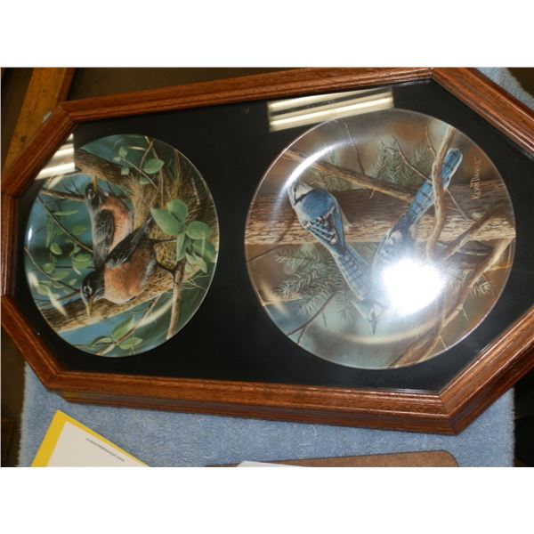 2 Decorative Plates