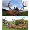 Image 1 : Red Stag Hunt in Scotland