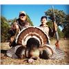 Image 1 : Goulds Turkey Hunt in Mexico