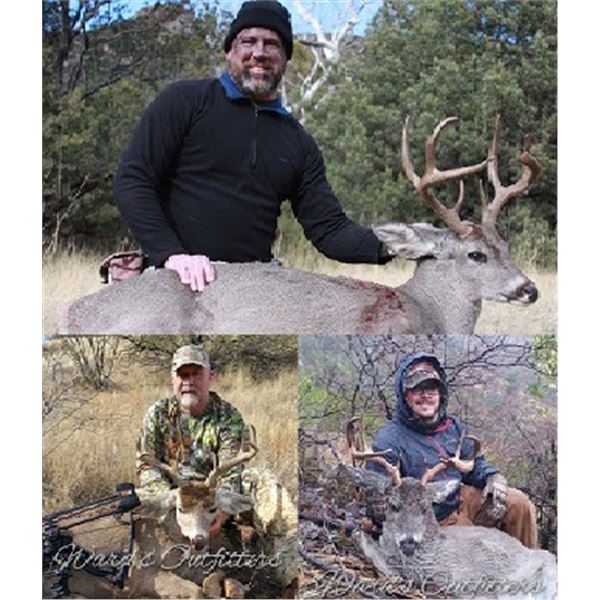 Coues Deer Hunt in Arizona