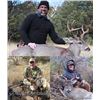 Image 1 : Coues Deer Hunt in Arizona