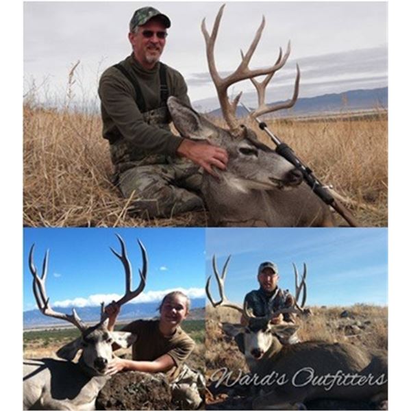 Mule Deer Hunt in Arizona