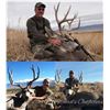 Image 1 : Mule Deer Hunt in Arizona