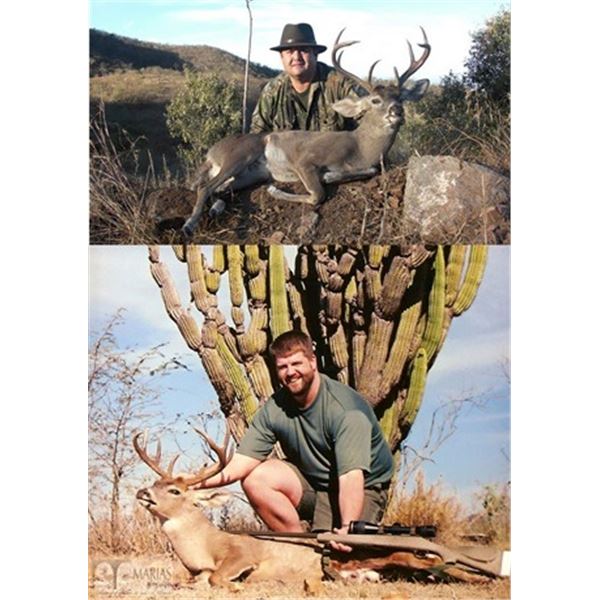 Coues Deer Hunt in Sonora, Mexico