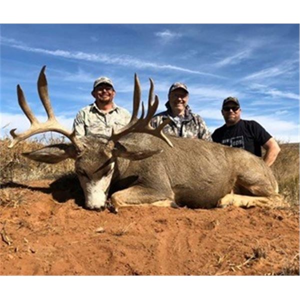 Mule Deer Hunt in New Mexico
