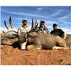 Image 1 : Mule Deer Hunt in New Mexico