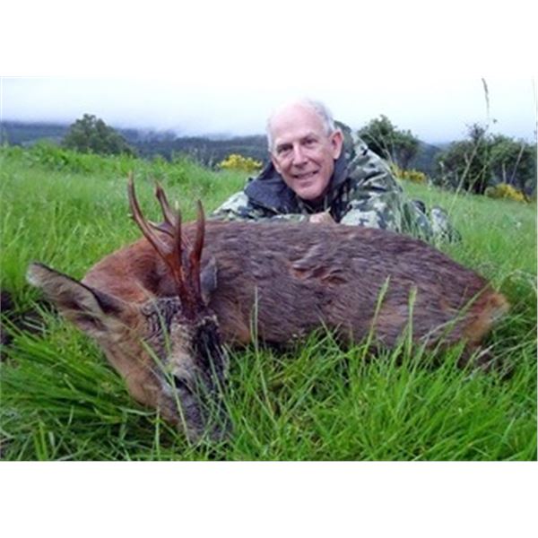 Roe Deer Hunt in Scotland