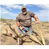 Image 1 : Antelope Hunt in New Mexico