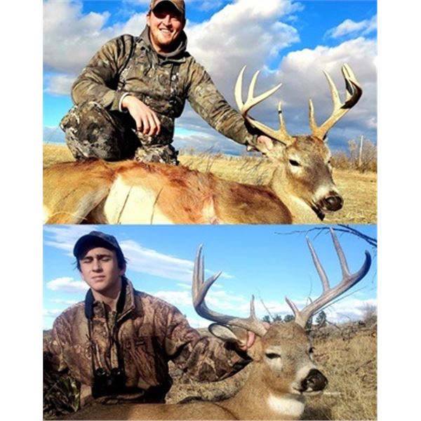 Whitetail Deer Hunt in Nebraska