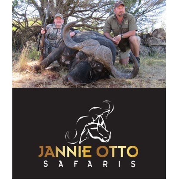 Trophy Cape Buffalo Bull Hunt in South Africa
