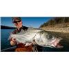 Image 1 : Striped Bass Fishing on Lake Mead