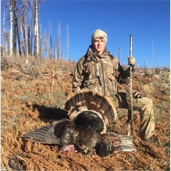 AZGFD Commissioner’s Tag: Turkey