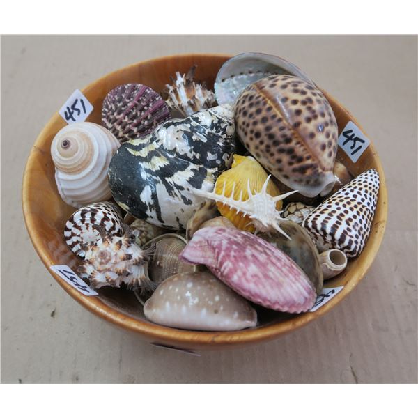 1981 Russian Olive Wood Bowl - Contains Large Seashell Collection