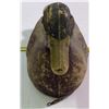 Image 2 : Duck Decoy - Victor Veri-Lite Waterproof