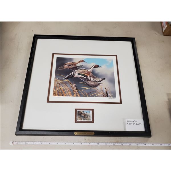 DUCK'S UNLIMITED PRINT HAROLD ROE 1998 1091/5000
