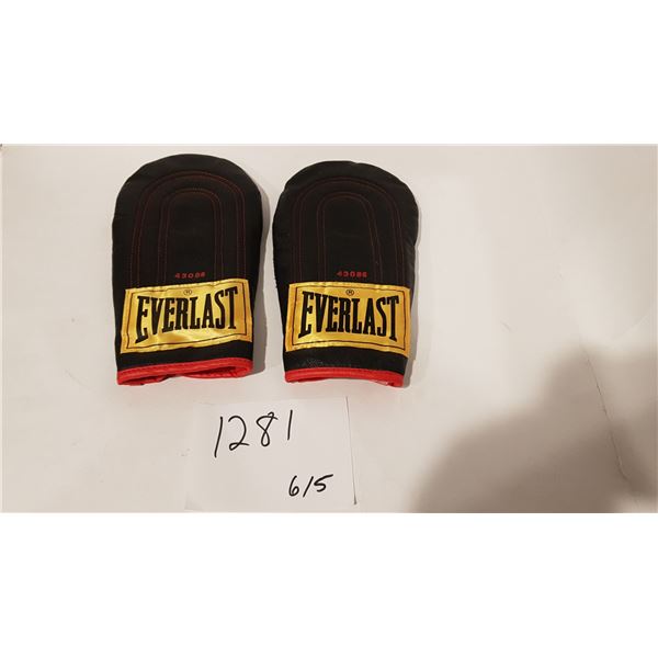 Everlast Boxing Gloves 43086 (Slightly Used)