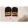 Image 1 : Everlast Boxing Gloves 43086 (Slightly Used)