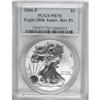 Image 1 : 2006-P Reverse Proof Silver Eagle PR70 PCGS