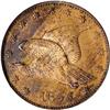 Image 1 : 1855 Flying Eagle Cent, Judd-167, PR63 RB NGC