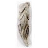 Image 7 : Zuni Picasso Marble Lizard Fetish by Fabian Tsethlikai