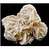 Image 2 : 2 Desert Rose Rock Specimens