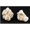 Image 4 : 2 Desert Rose Rock Specimens