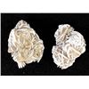 Image 7 : 2 Desert Rose Rock Specimens