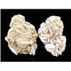 Image 8 : 2 Desert Rose Rock Specimens