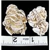 Image 9 : 2 Desert Rose Rock Specimens