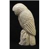 Image 2 : Zuni Antler Owl Fetish by Derrick Kaamasee