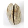 Image 9 : Zuni Picasso Marble Chief Bust Fetish by Bellson