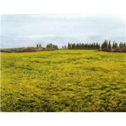 Amalia Haas, Israeli painting